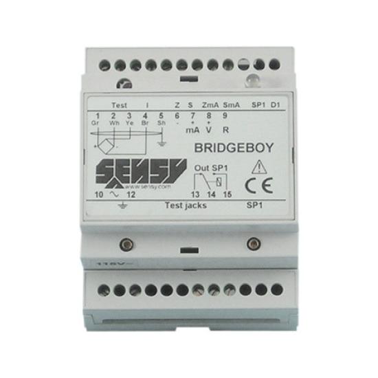 Elettronica mod. Bridgeboy-1R